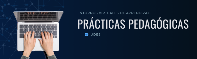 practicasudes2025.milaulas.com